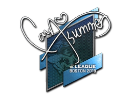 Sticker | Summer | Boston 2018 image