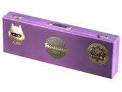 Shanghai 2024 Dust II Souvenir Package image