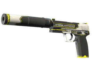 USP-S | Torque