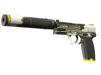 USP-S | Torque image