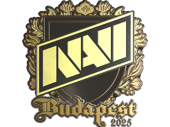 Sticker | Natus Vincere (Gold) | Budapest 2025 image