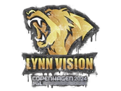 Sealed Graffiti | Lynn Vision | Copenhagen 2024 image