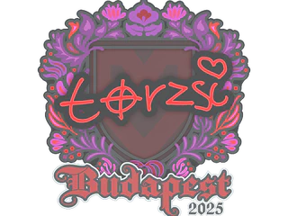 Sticker | torzsi | Budapest 2025