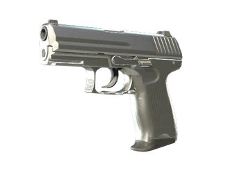 P2000 | Silver image