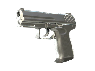 P2000 | Silver
