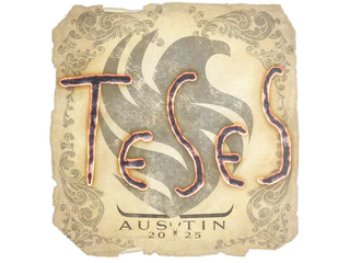 Sticker | TeSeS | Austin 2025