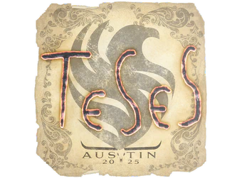 Sticker | TeSeS | Austin 2025 image