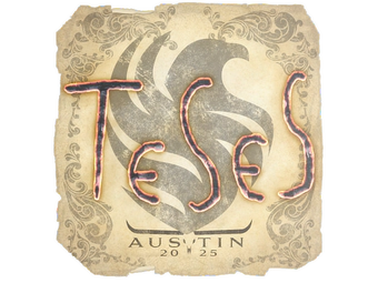 Sticker | TeSeS | Austin 2025 image