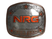 Sticker | NRG (Foil) | Austin 2025 image