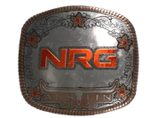 Sticker | NRG (Foil) | Austin 2025 image