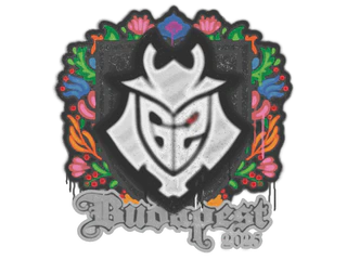 Sealed Graffiti | G2 esports | Budapest 2025