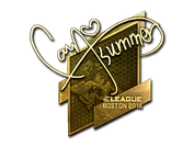 Sticker | Summer (Gold) | Boston 2018 image