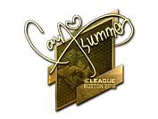 Sticker | Summer (Gold) | Boston 2018 image