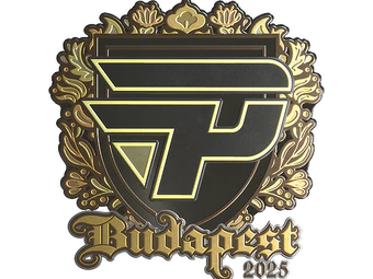 Sticker | paiN Gaming (Gold) | Budapest 2025 image