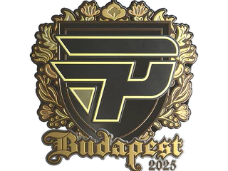 Sticker | paiN Gaming (Gold) | Budapest 2025