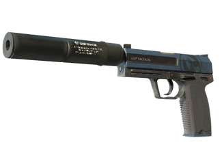 USP-S | Guardian image