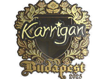 Sticker | karrigan (Gold) | Budapest 2025 image