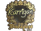 Sticker | karrigan (Gold) | Budapest 2025 image