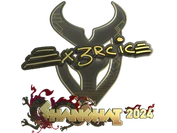 Sticker | Ex3rcice (Gold) | Shanghai 2024 image