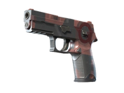 P250 | Constructivist image