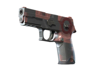 P250 | Constructivist