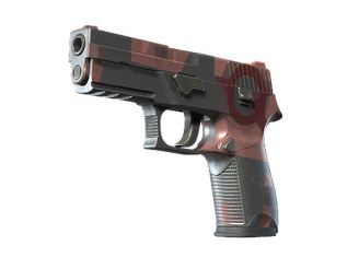 P250 | Constructivist image