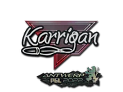 Sticker | karrigan | Antwerp 2022 image