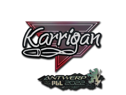 Sticker | karrigan | Antwerp 2022 image