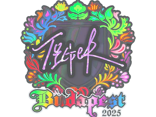 Sticker | Tiger (Holo) | Budapest 2025