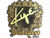 Sticker | kye (Gold) | Budapest 2025 image