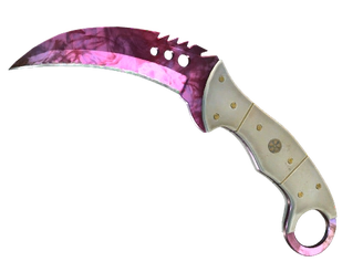★ Talon Knife | Doppler Phase 2 image