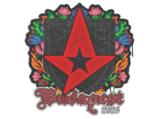 Sealed Graffiti | Astralis | Budapest 2025