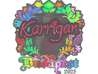 Sticker | karrigan (Holo) | Budapest 2025