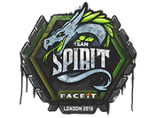 Sealed Graffiti | Team Spirit | London 2018 image