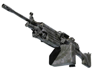 M249 | Midnight Palm