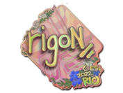 Sticker | rigoN (Holo) | Rio 2022 image