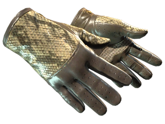 ★ Driver Gloves | Diamondback image