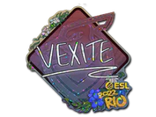 Sticker | vexite (Glitter) | Rio 2022 image
