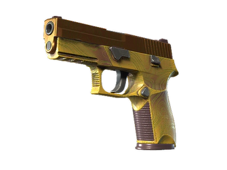 P250 | Sedimentary image