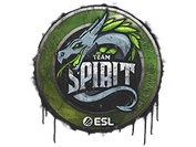 Sealed Graffiti | Team Spirit | Katowice 2019 image