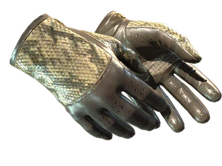 ★ Driver Gloves | Diamondback