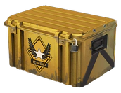 Winter Offensive Weapon Case image