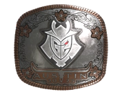 Sticker | G2 Esports (Foil) | Austin 2025 image