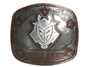 Sticker | G2 Esports (Foil) | Austin 2025 image