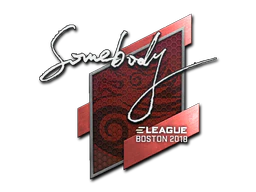 Sticker | somebody | Boston 2018 image