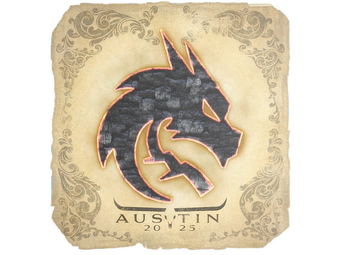 Sticker | Team Spirit | Austin 2025 image