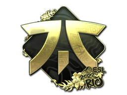 Sticker | Fnatic (Gold) | Rio 2022 image
