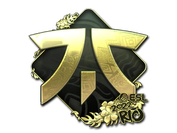 Sticker | Fnatic (Gold) | Rio 2022 image