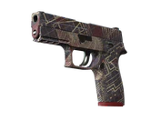 P250 | Facility Draft image
