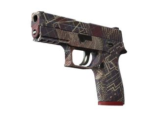 P250 | Facility Draft image